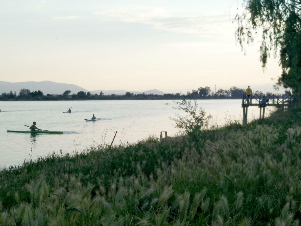 Mi Apartamento En El Delta Del Ebro+ Deltebre Kültér fotó
