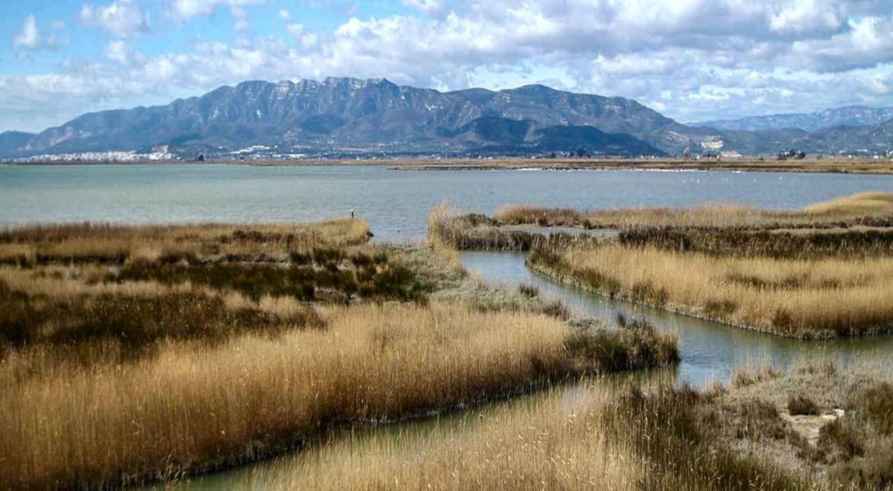 Mi Apartamento En El Delta Del Ebro+ Deltebre Kültér fotó