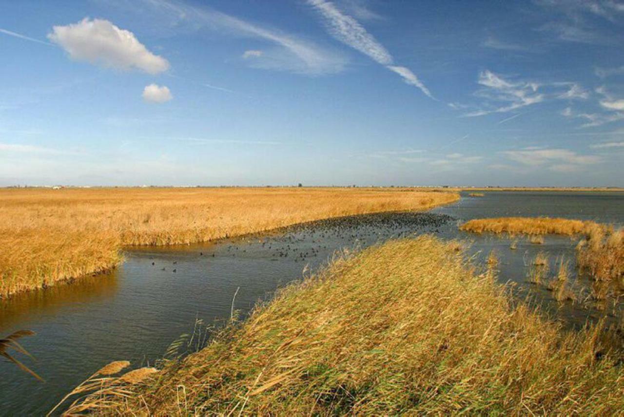 Mi Apartamento En El Delta Del Ebro+ Deltebre Kültér fotó