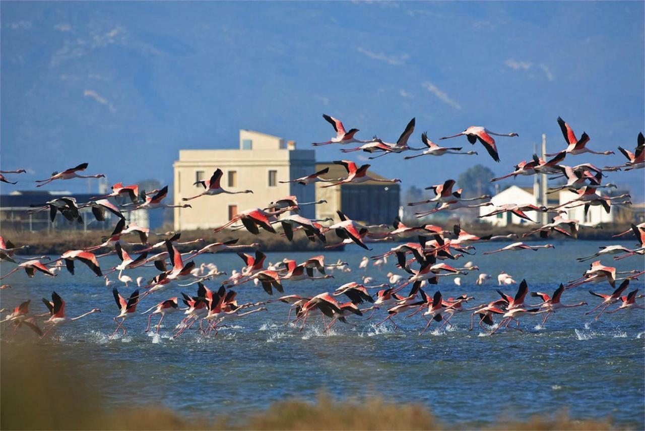 Mi Apartamento En El Delta Del Ebro+ Deltebre Kültér fotó