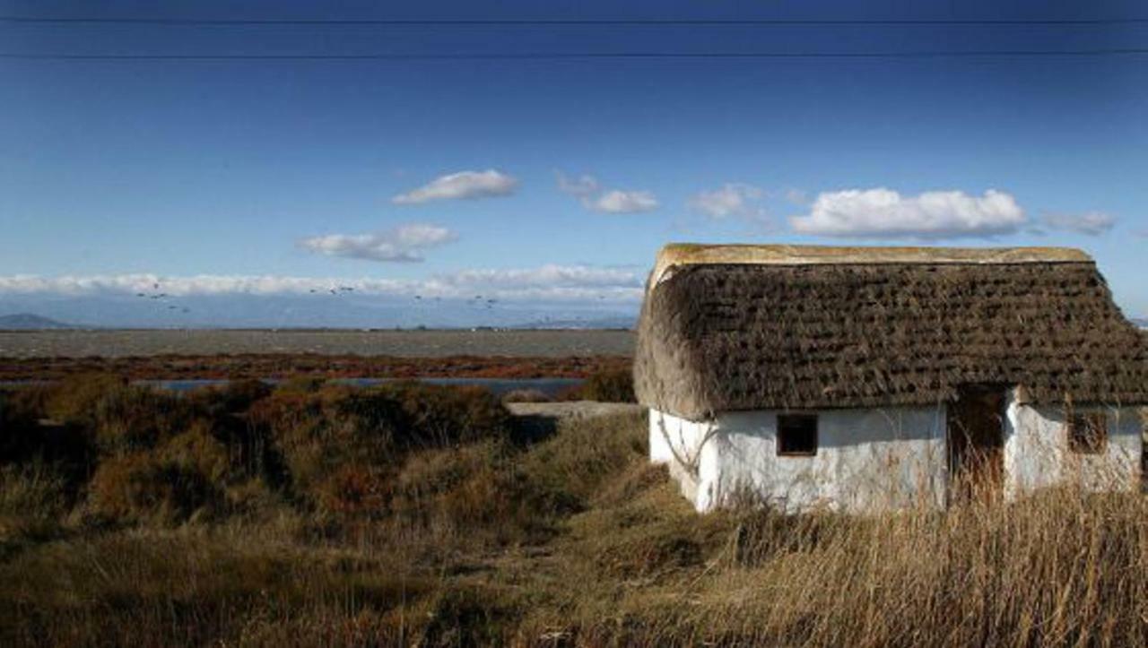 Mi Apartamento En El Delta Del Ebro+ Deltebre Kültér fotó