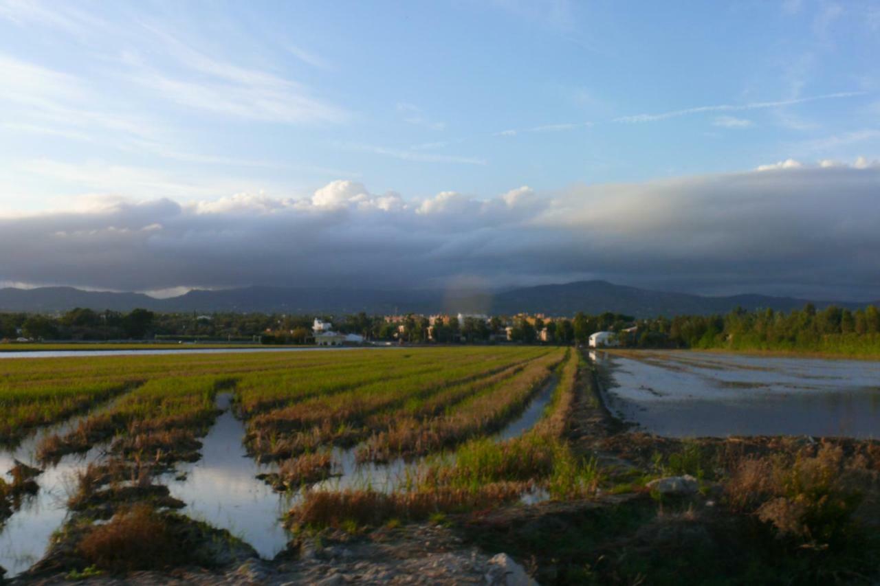 Mi Apartamento En El Delta Del Ebro+ Deltebre Kültér fotó